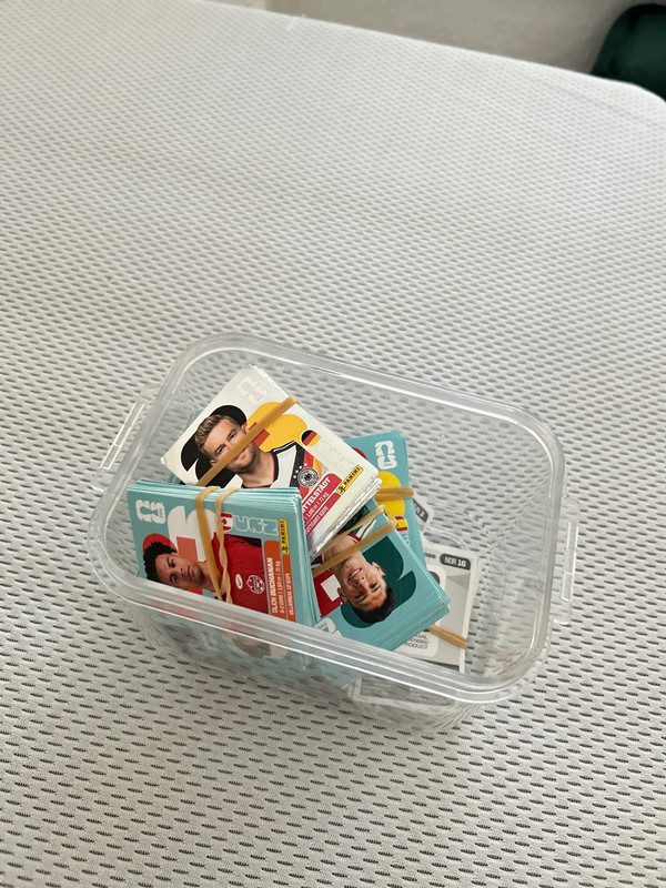 Panini Sticker