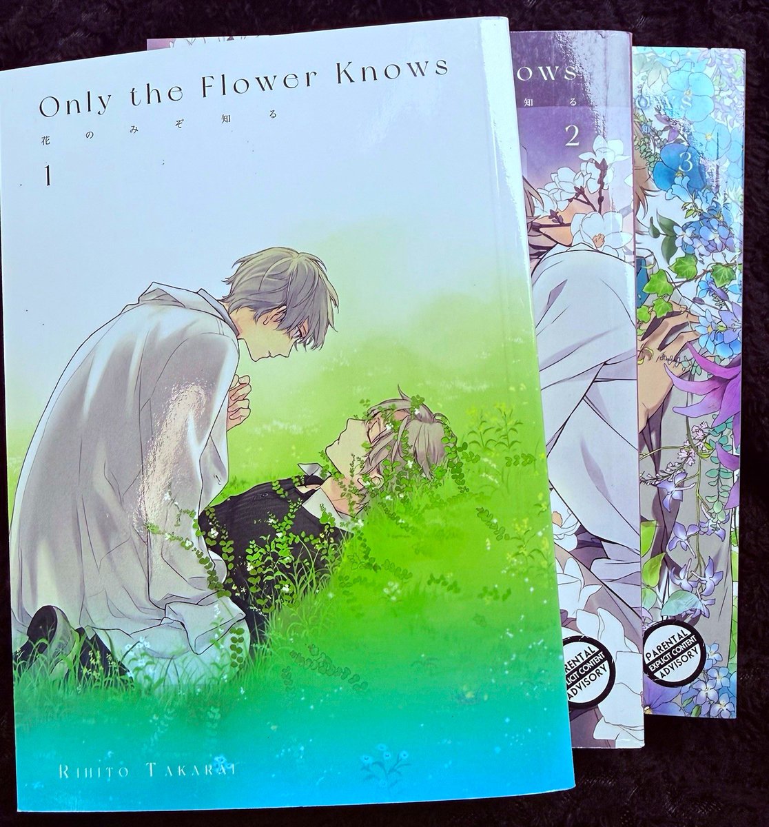 Only the Flower Knows Vol 1-3 Manga Trade Paperback Lotto Inglese - Rihito #manga