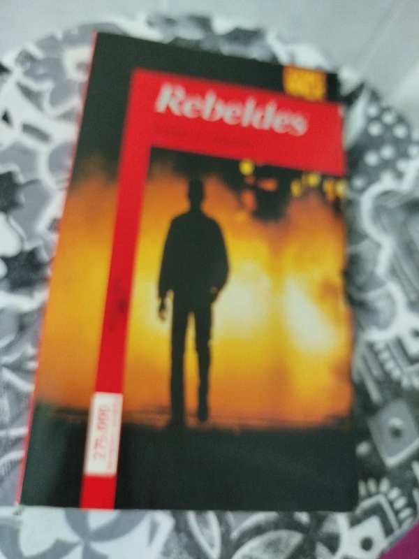 Rebeldes de Susan E. Hiton