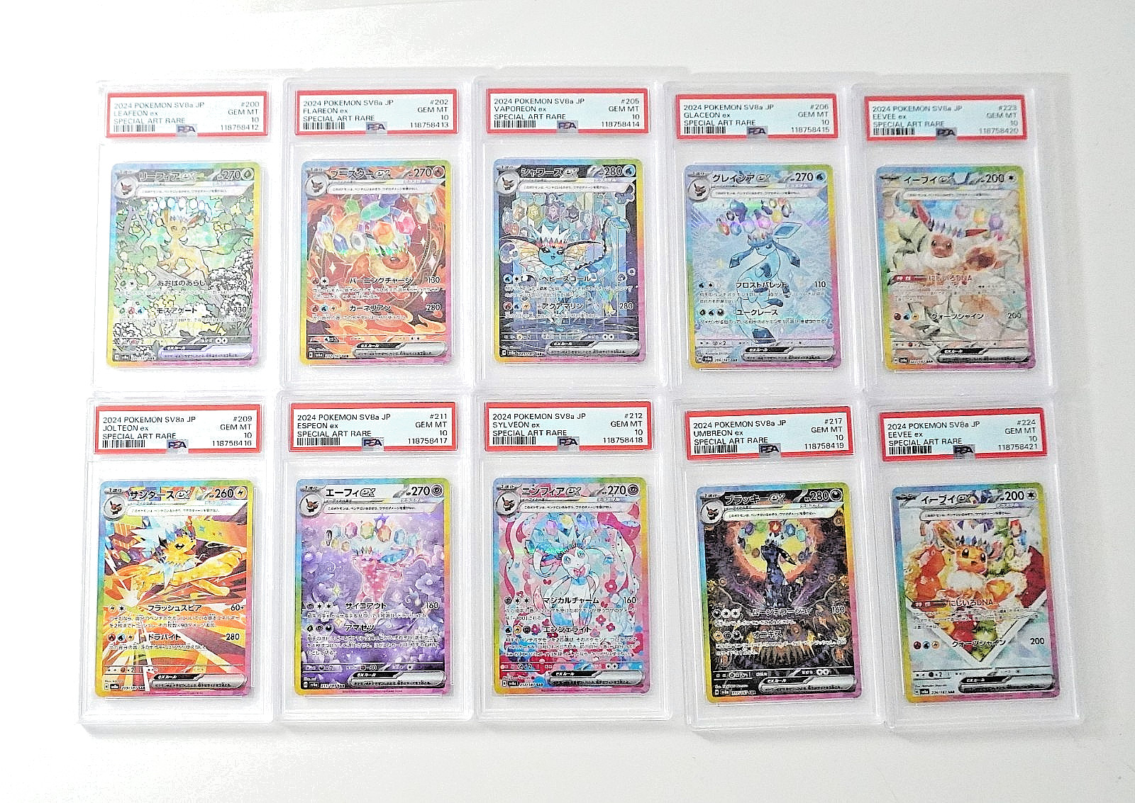 Pokemon PSA 10 Set Eeveelutions SAR Terastal Festival 2024 Japanese