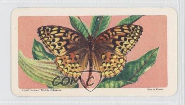1965 Brooke Bond Red Rose Butterflies of North America Tea Aphrodite #7 0a1