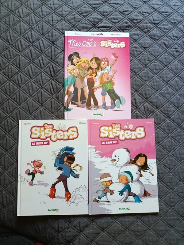 Lot livres bandes dessinées