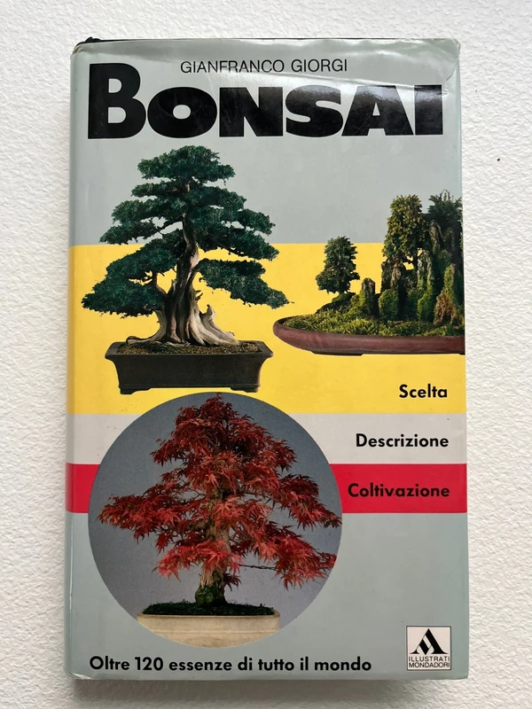 Bonsai (Creazione libri illustrati) (Italian Edition) - Gianfranco Giorgi