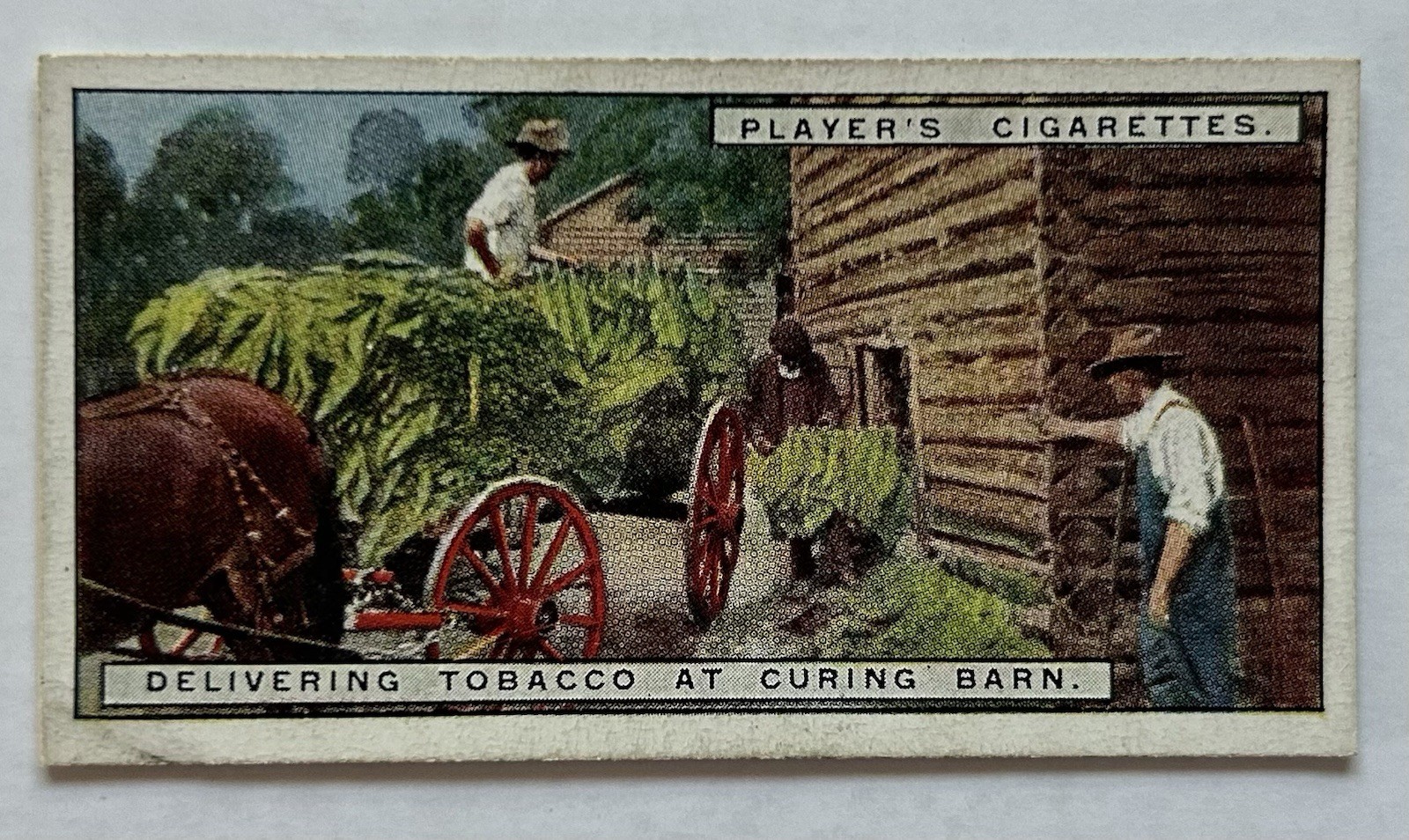 Player’s Tobacco Card Delivering Tobacco Curing Barn Farm Scene #11 CC5
