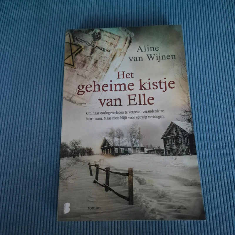 💜 Het geheime kistje van Elle - Aline van Wijnen
