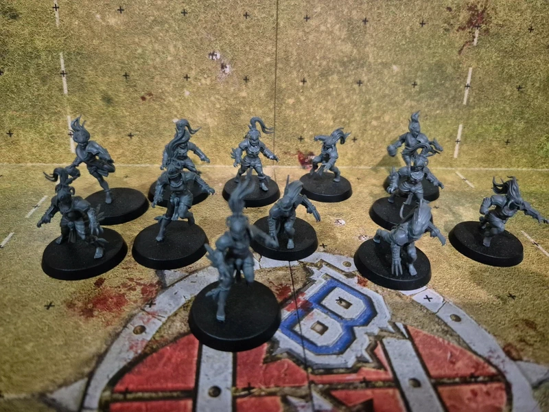 BloodBowl aamazon Team