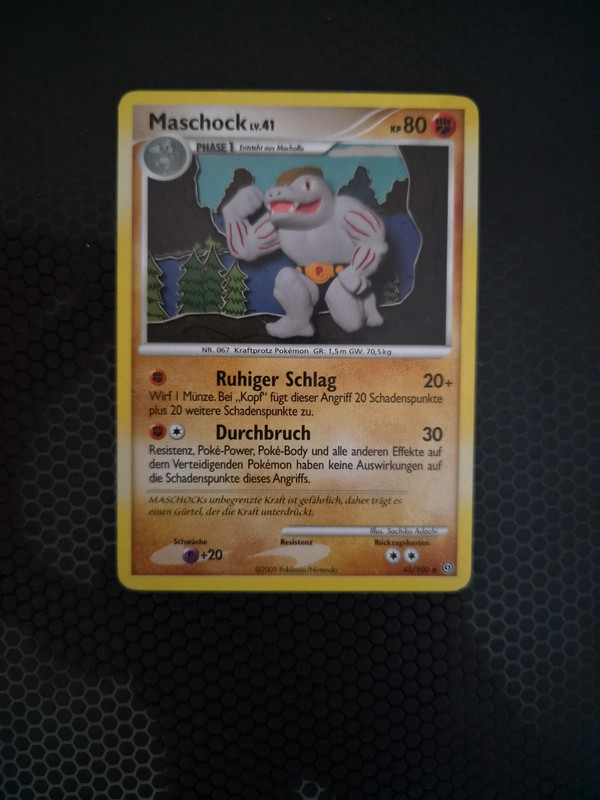 Maschok 2009