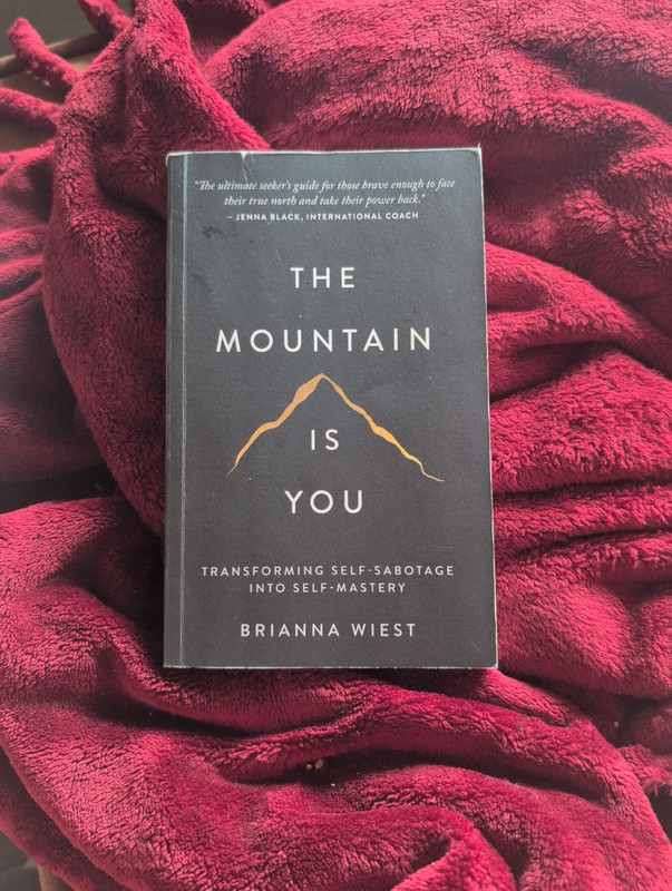 The mountain is you book