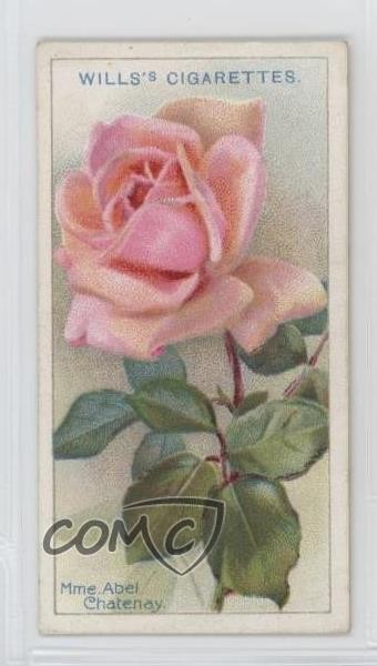1926 Wills Roses Tabacco MME Abel Chatenay #31 1i3