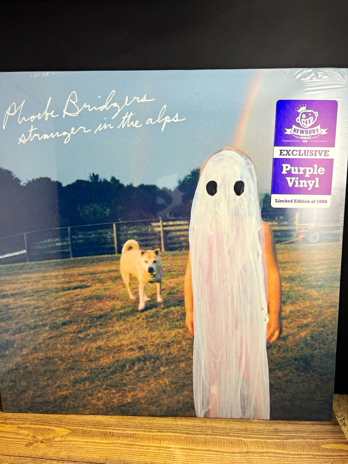 PHOEBE BRIDGERS Stranger in the Alps LP Purple Vinyl Limited Newbury Comics