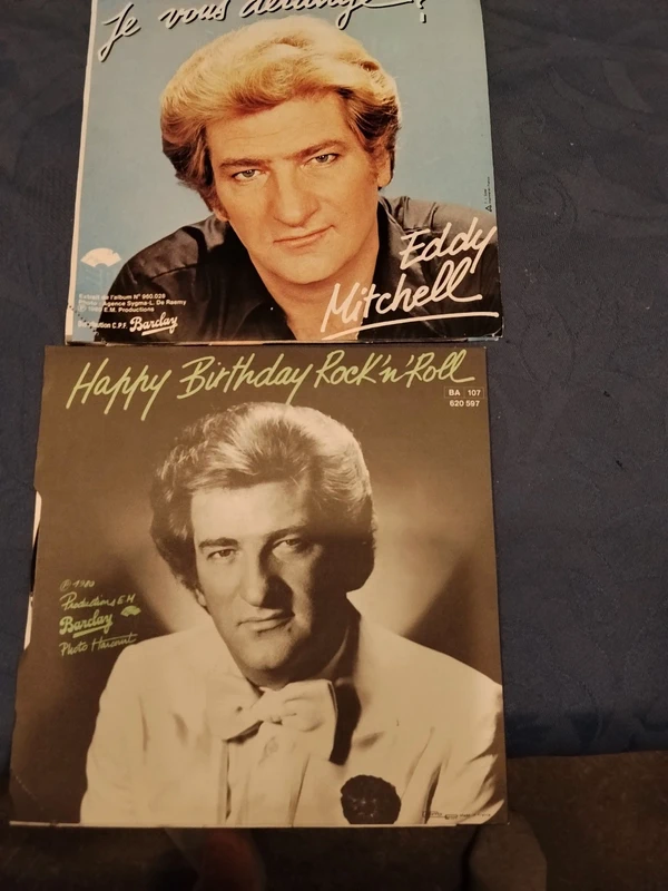 Lot de 2 vinyle