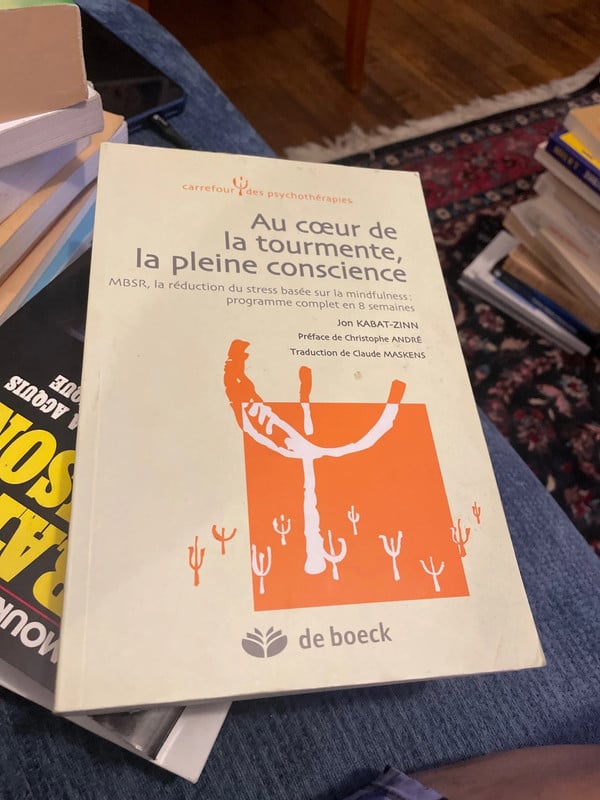 Au cœur de la tourmente la pleine conscience