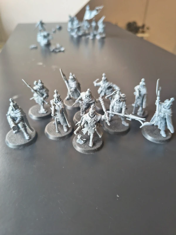 Freeguild Grenadiers