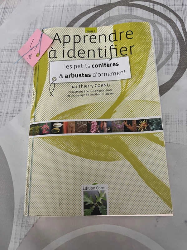 Apprendre à identifier les petits conifères et arbustes d’ornement