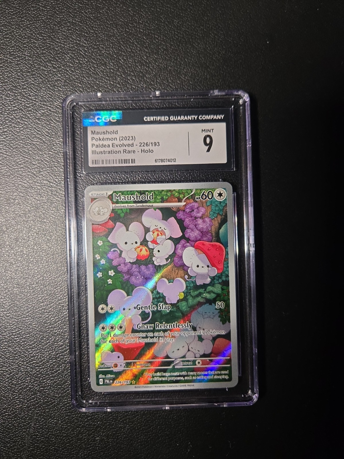 Maushold 226/193 Sv02: Paldea Evolved Holo CGC MINT 9 grado fresco
