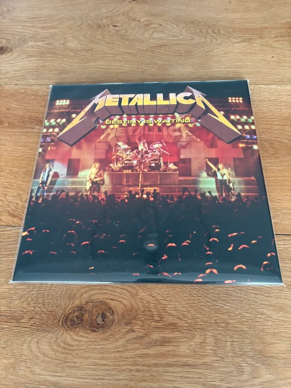 Metallica Destiny Is Waiting