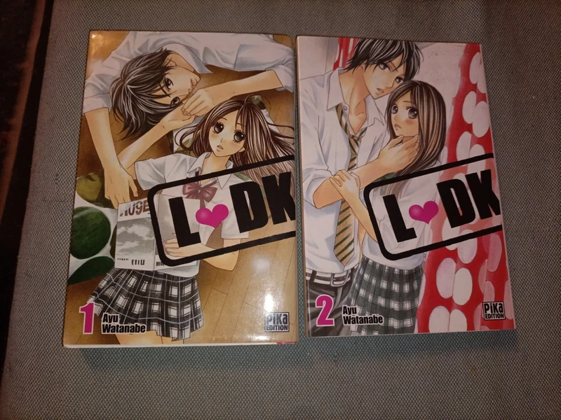 Manga L DK