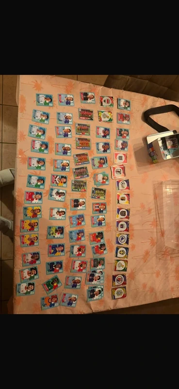 Panini Fussballkarten