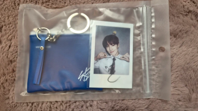 WTS - Stray Kids Merch Unveil Tour I.N. Polaroid PC Photocard