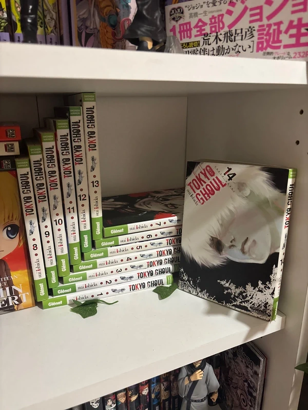 Tokyo Ghoul 1 à 14