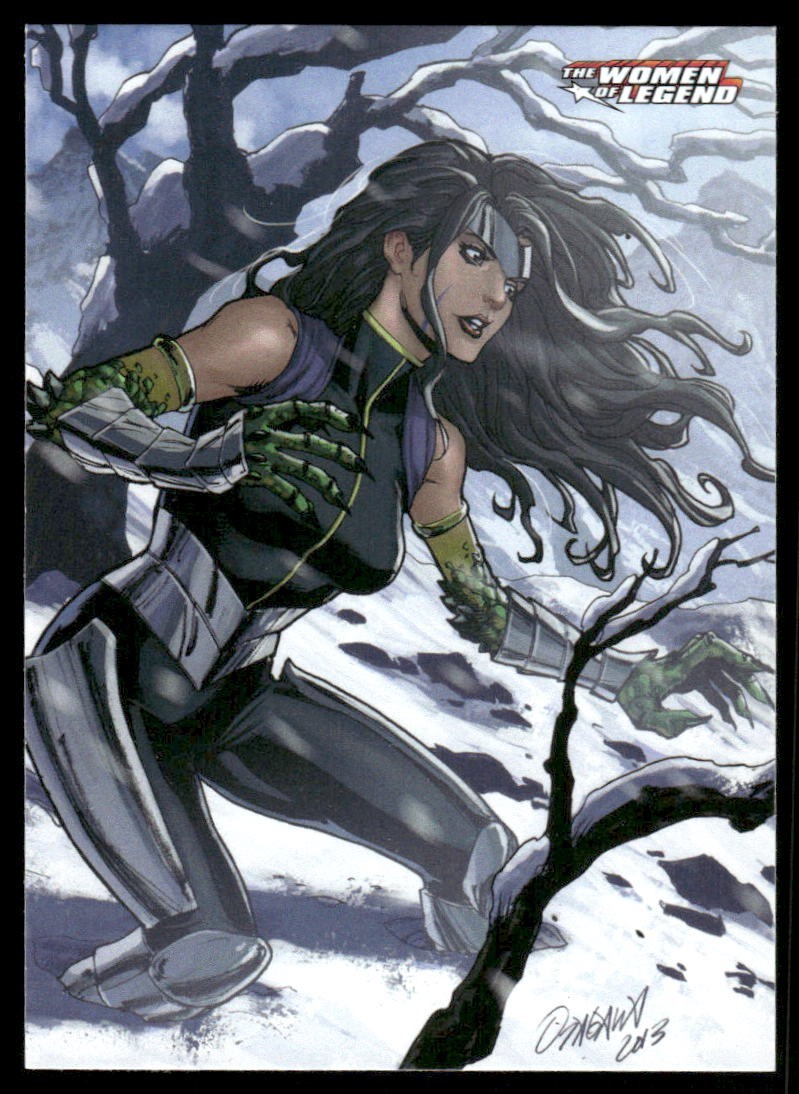 Voodoo 2013 Cryptozoic DC Women of Legend Card #43 (NM)