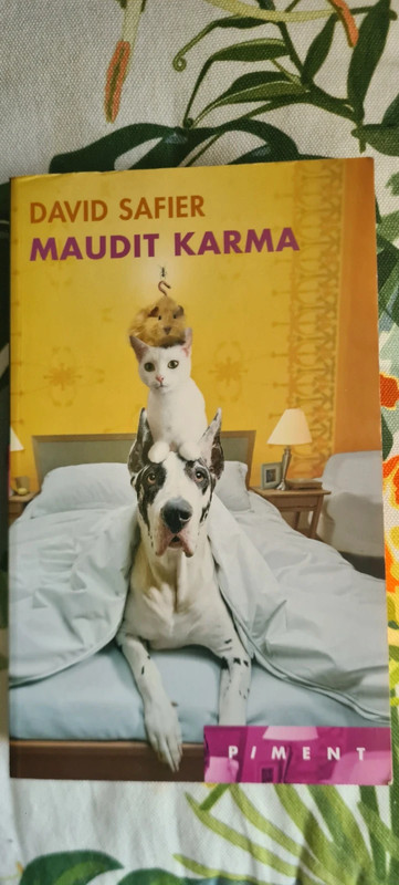 Maudit Karma de David Safier