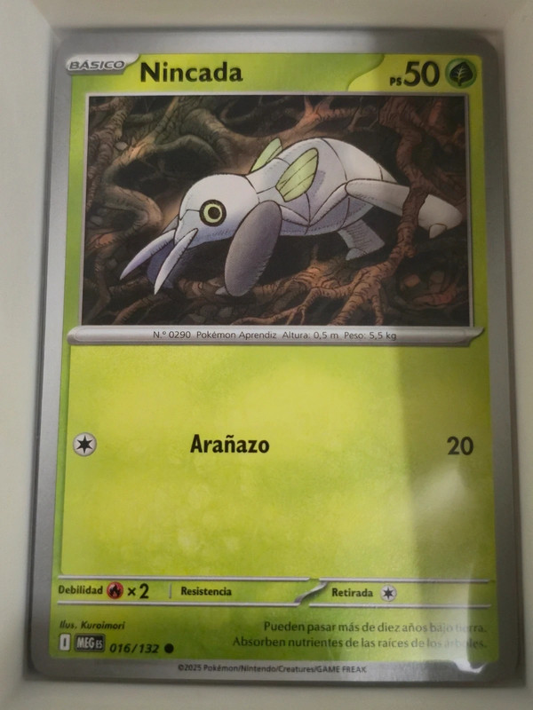 Carta Pokemon Nincada