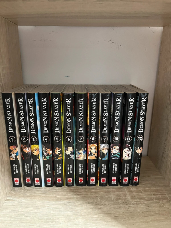 Tome demonslayer 1 a 12 ( 4 euros par tome )
