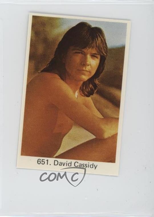 Samlarsaker svedese 1978 periodo dopo numero David Cassidy #651 0b3