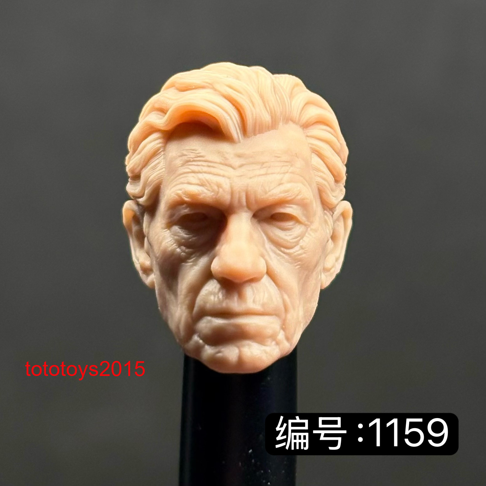 Modellino scultura testa vecchi magneto 1:6 1:12 1:18 per action figure 12" 6" 3,75"