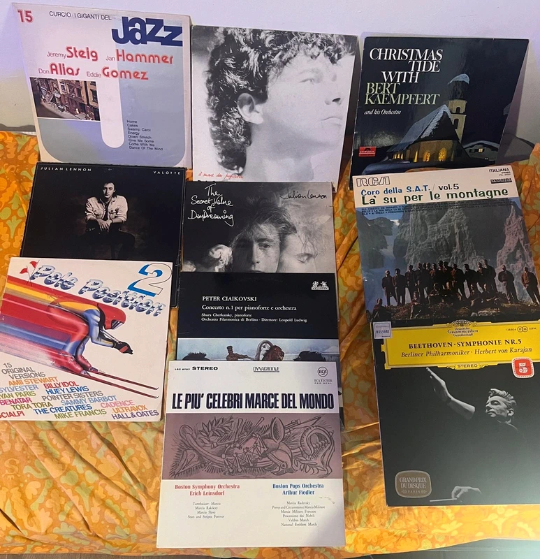 10 vinili in blocco vario genere