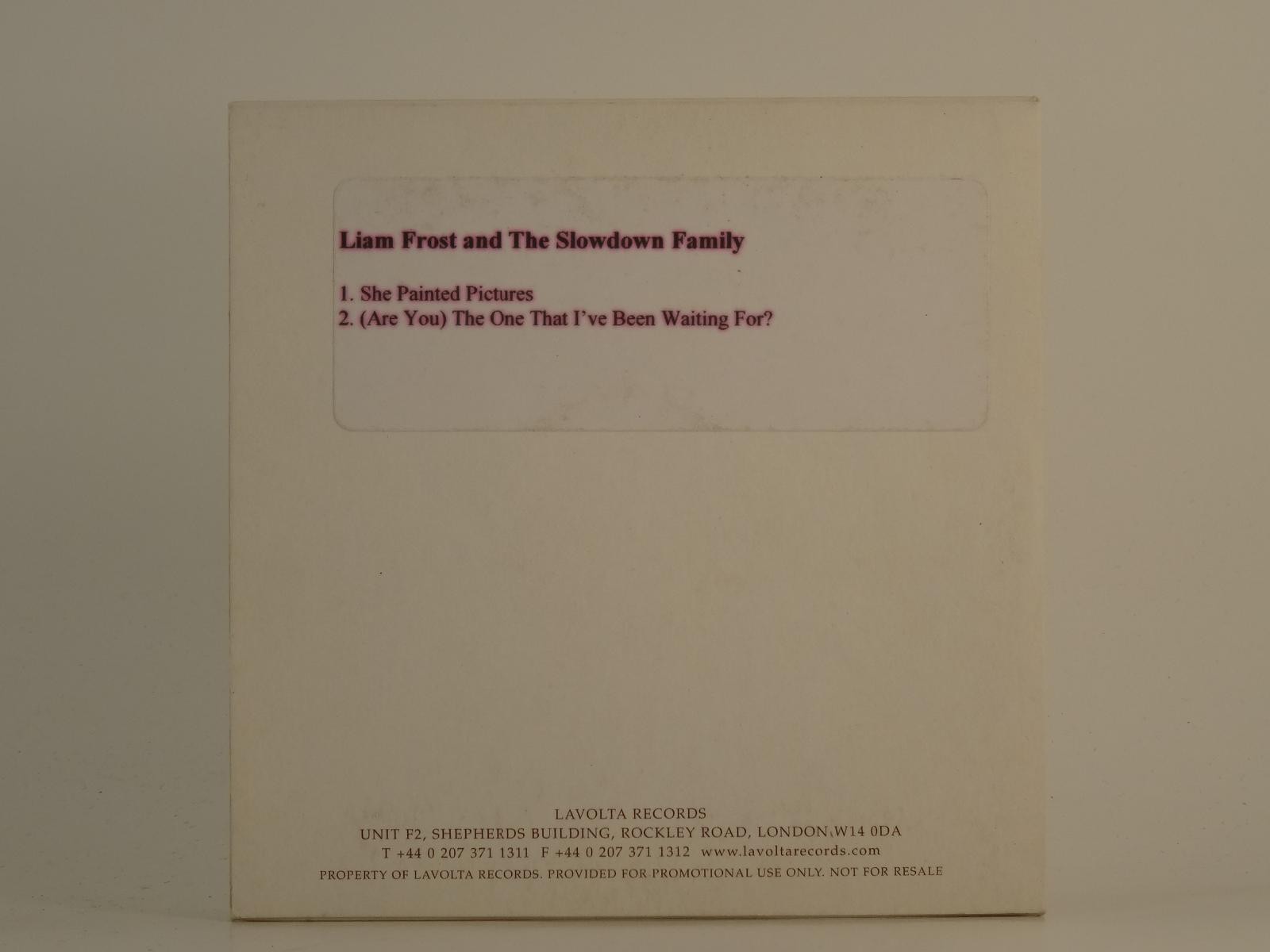 LIAM FROST AND THE SLOWDOWN FAMILY SHE PAINTED PICTURES (D73) 2 Track Promo CD S