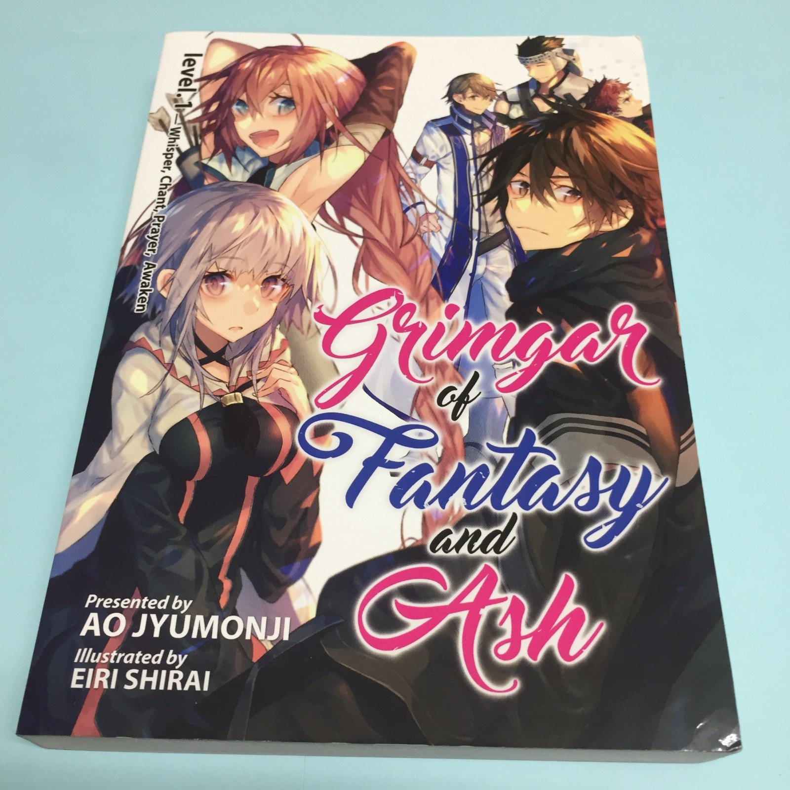 Grimgar of Fantasy and Ash Level Volume 1 Light Novel Libro Inglese