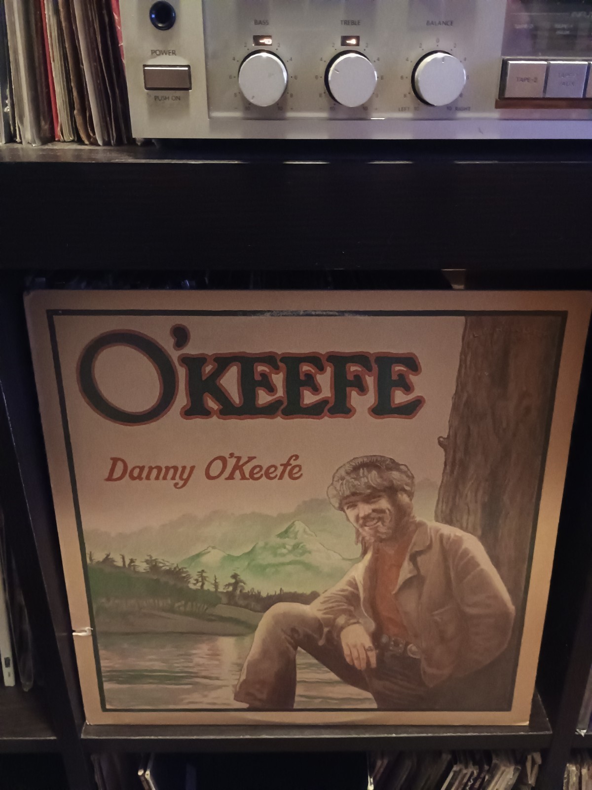 Danny O'Keefe - O'Keefe - Vinyl LP  US - 1972 Vinyl LP Record Plays Great!!