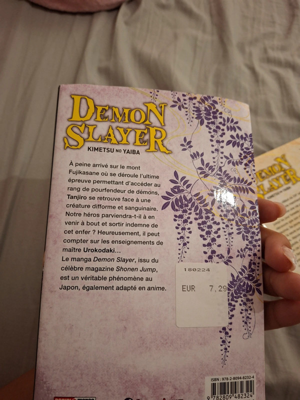 Manga  Damon slayer