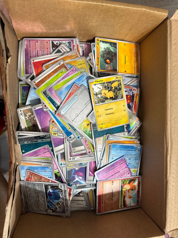 Box carte pokemon