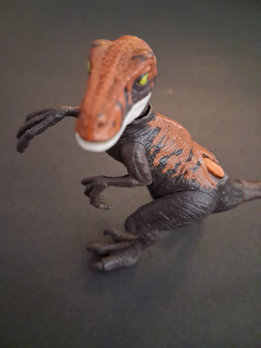 Modellino Jurassic World Dino Trackers VELOCIRAPTOR POSABILE marrone arancione