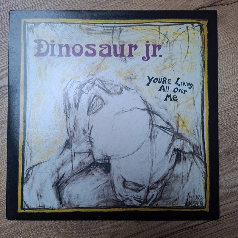 Dinosaur Jr – You're Living All Over Me