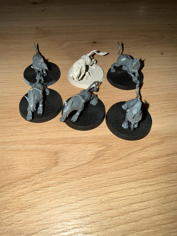 6 Gryph‑Hounds – Stormcast Eternals