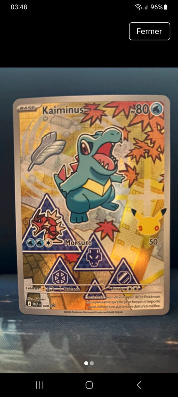 🇫🇷 Kaiminus MEP 30th Série 2 048 🇫🇷