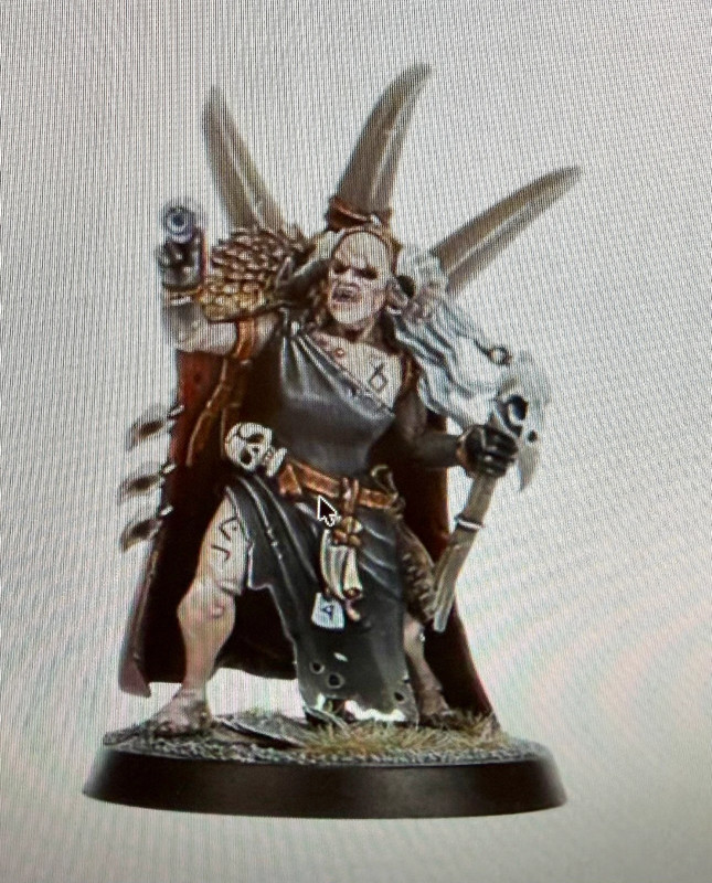 Warhammer - AOS - 1 Oracle Saccageur Noir-Serment neuf sur grappe