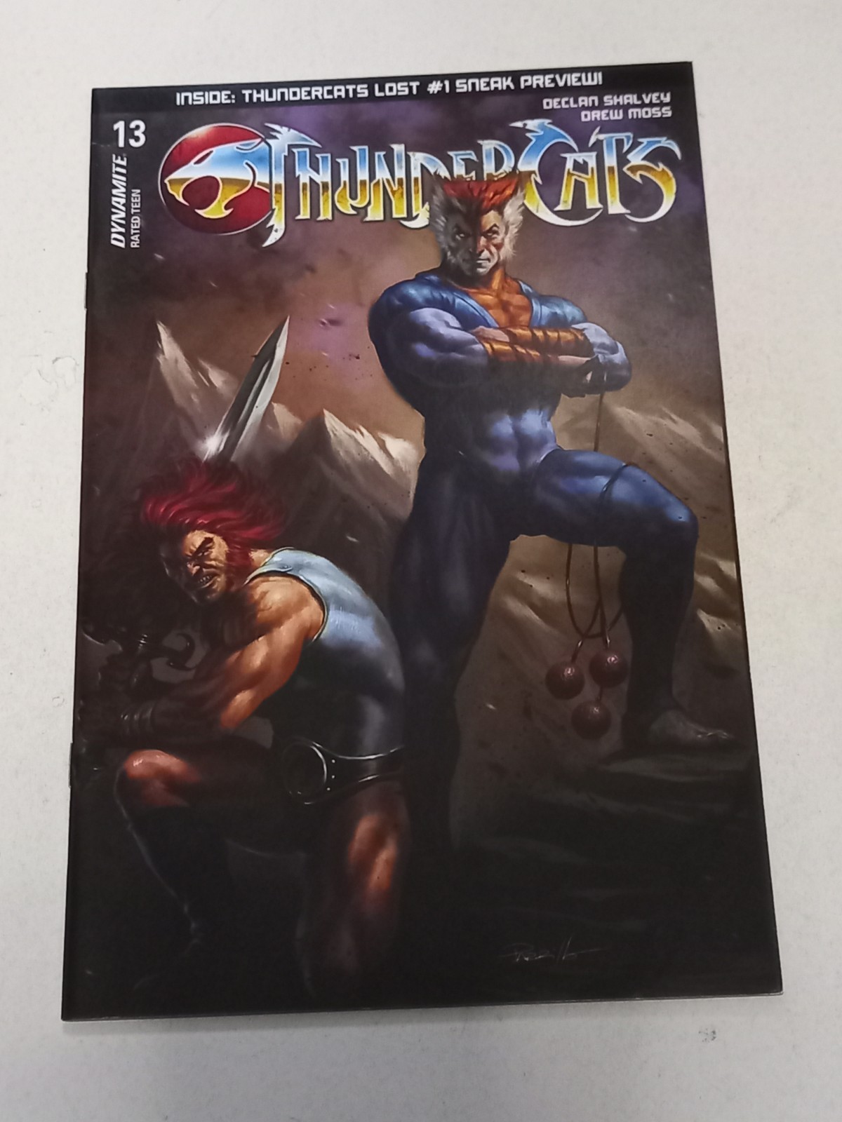 Thundercats 13 (25) Cover A