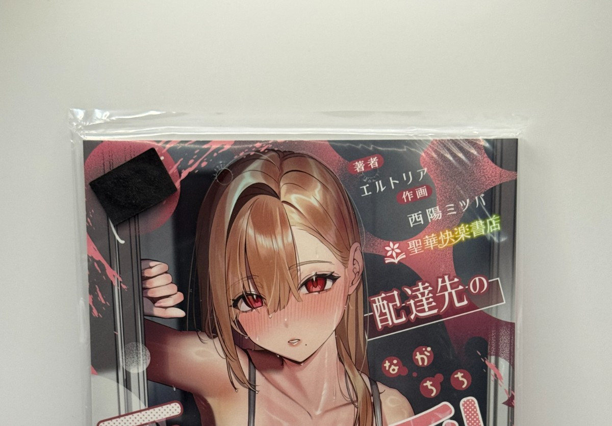 Doujinshi / Illustrazione Giappone