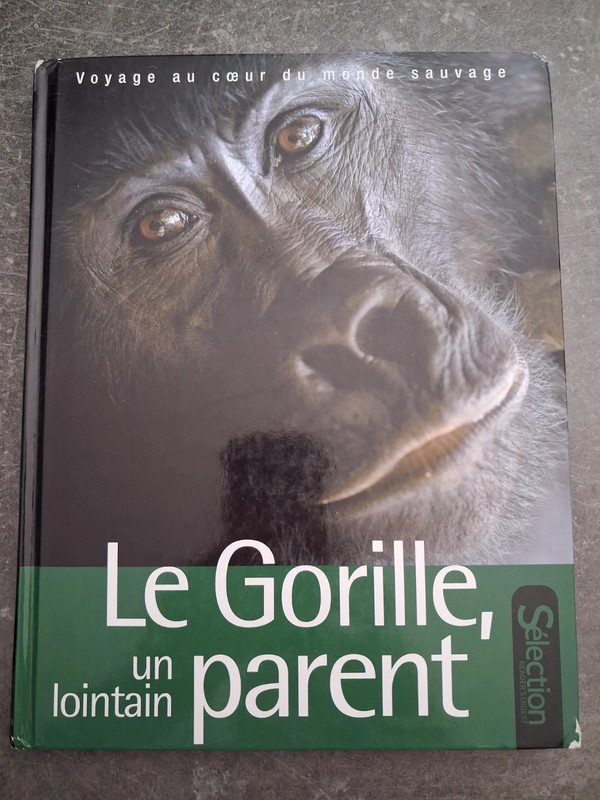 Le Gorille, un lointain parent