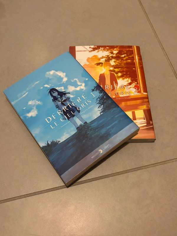 Derrière le ciel gris ��� Tomes 1 & 2
