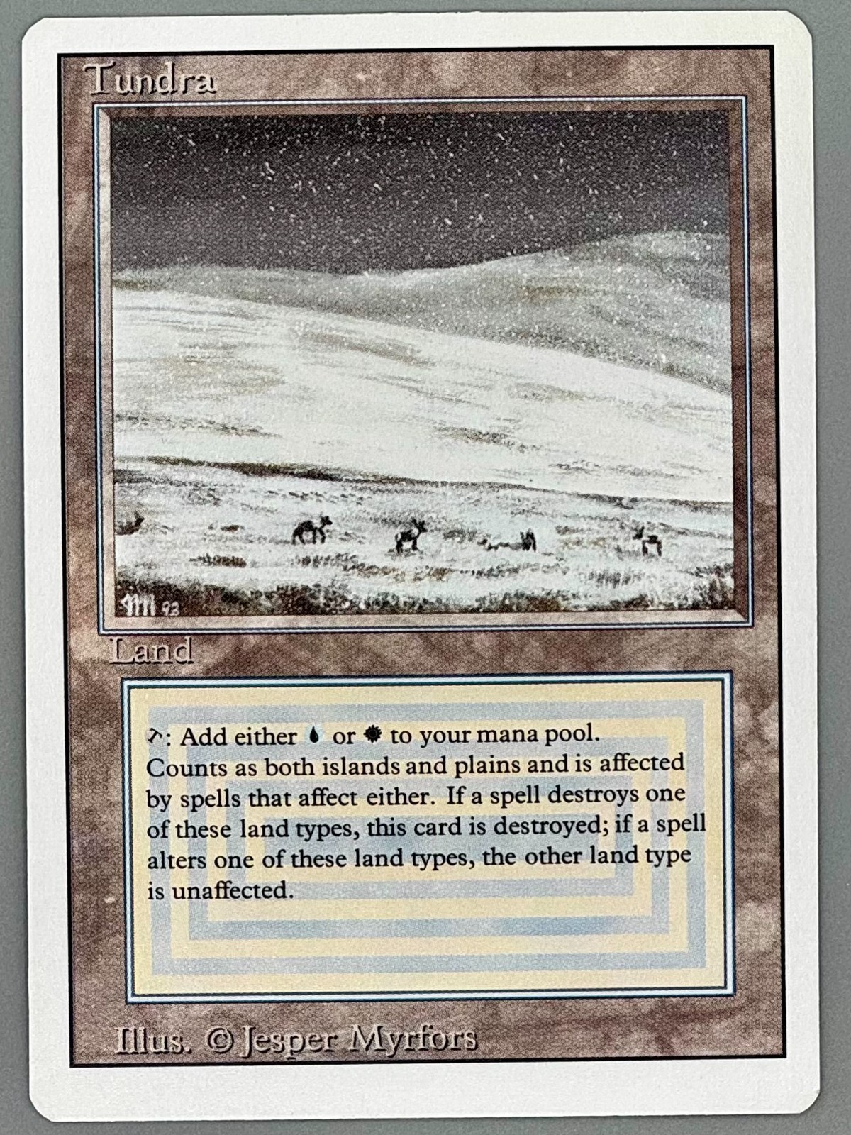 Tundra Edizione Riveduta Regolare