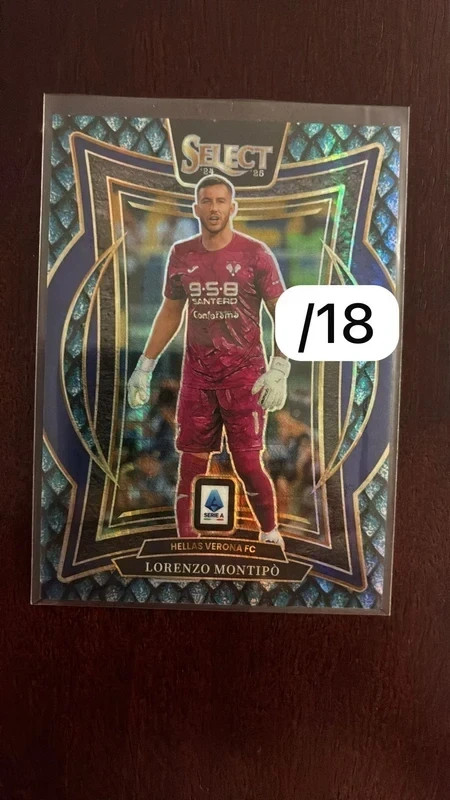 Panini Select Serie A 2024-25 Lorenzo Montipo Dragon Scale /18