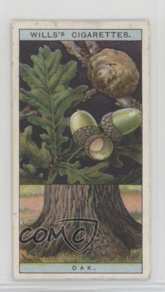1924 testamenti alberi da fiore e arbusti tabacco quercia #34 1i3