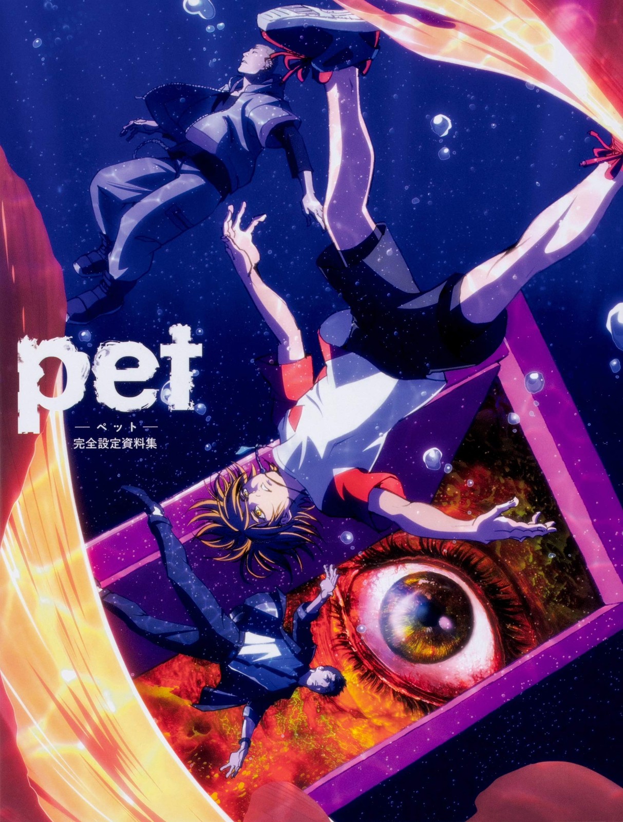 pet set completo materiale collezione libro modulo JP