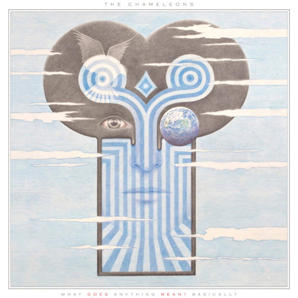 Chameleons - What Does Anything Mean? Basically (Clear Vinyl) - Rock/Pop - Music
